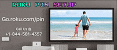 Roku Pin GIF