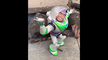 Surprise GIF