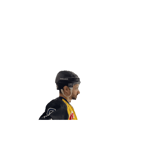 BergischRaptors Sticker