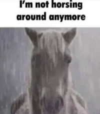 Sad Horse GIF