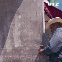 Chris Tacos GIF by NETFLIX