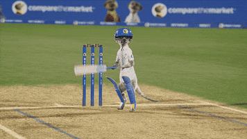Hit Cricket GIF by Compare the Market