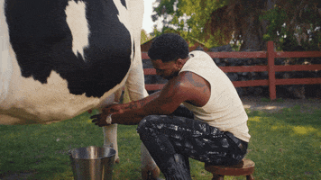 Hands On Me Milking Cow GIF by Jason Derulo