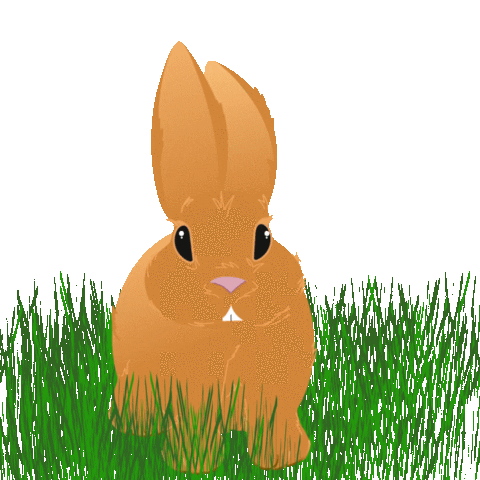 Bunny Rabbit Sticker