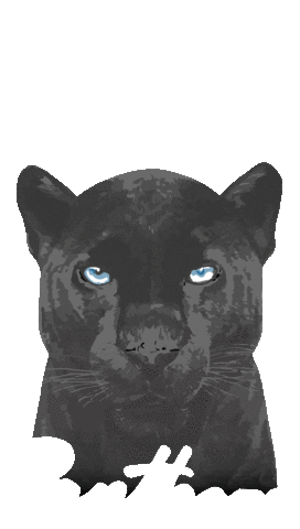 Keep Pounding Carolina Panthers Sticker by Girl Tribe Co.