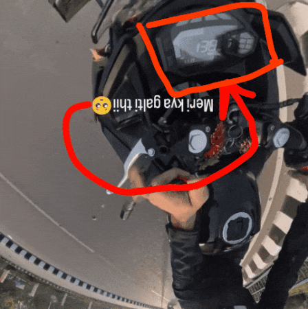 Fun Celebrate GIF