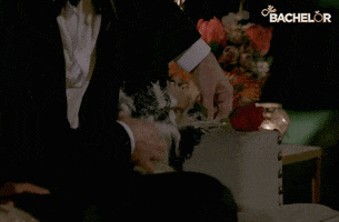 200.gif?cid=fc005b08faf8c9c1f98c4287e9c660a52e005a94f1990cbe&rid=200.gif&ct=g