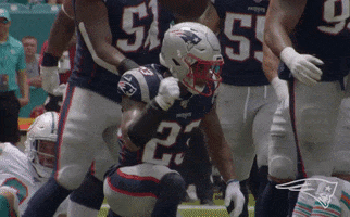 Patrick Chung Fist Bump GIF by New England Patriots