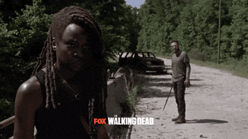 FOX GIF