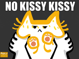 Cats Kiss GIF