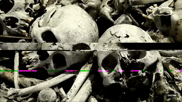 Vice GIF