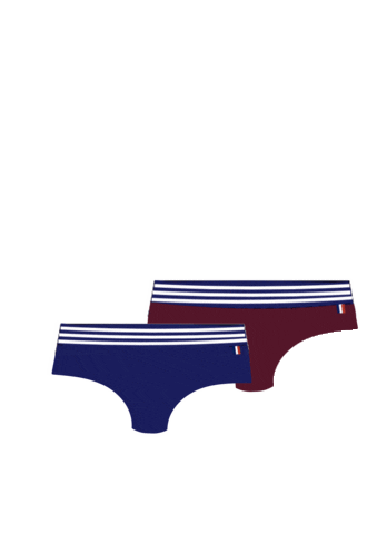 Made In France Sticker