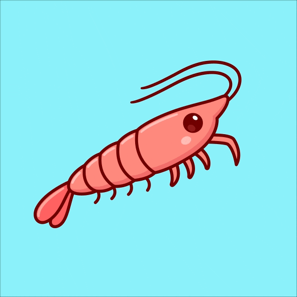 Shrimp Swimming GIF