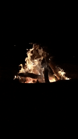 bonfire