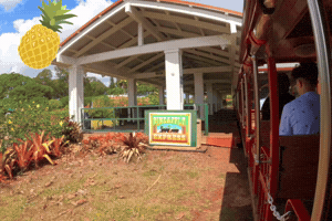 Pineapple Express GIF