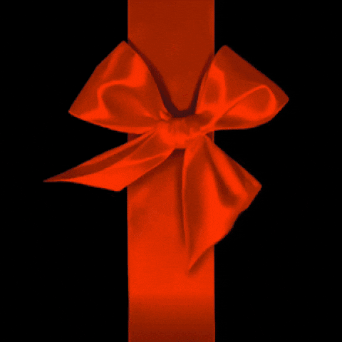 Christmas GIF by New 11