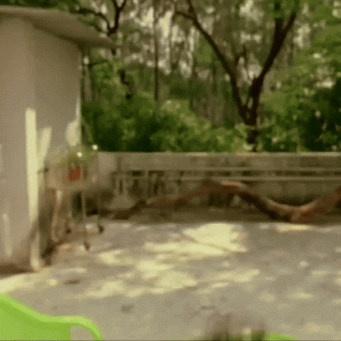 Shocked Surprise GIF