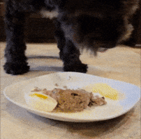 Casper GIF