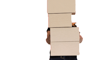 Delivery Pia Sticker by Krauterie