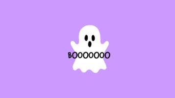 Peekaboo GIF