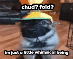 Dog GIF