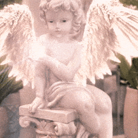 angel gif