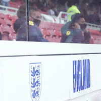 Staring Three Lions GIF by England