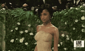 The Met Gala GIF by E!