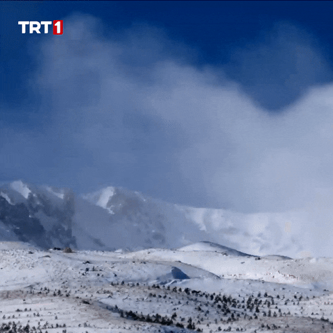Snow Winter GIF by TRT