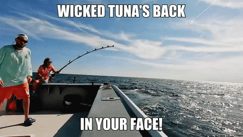 Wicked Tuna Fishing GIF by National Geographic Channel