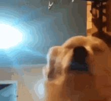 Redfinapproved GIF by Rocket Mortgage