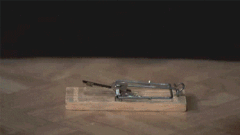  egg GIF