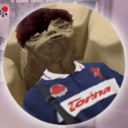 Se1Nherr GIF