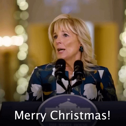 Merry Christmas GIF by The Democrats