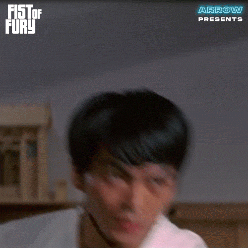 Martial Arts Fight GIF by Arrow Video