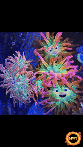 3Danimation GIF