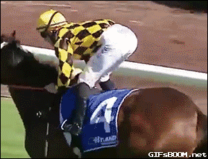 horse