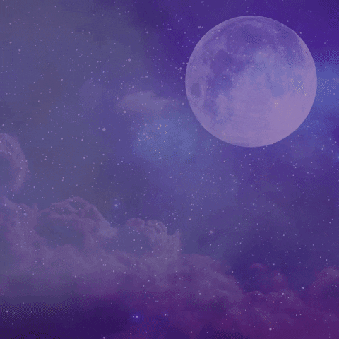 Full Moon Night GIF by Gerbert!