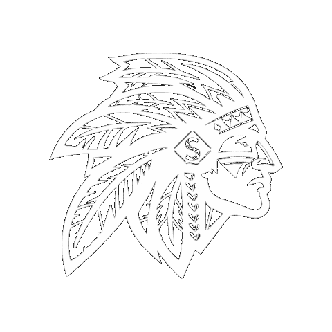 Futbol Americano Nfl Sticker by INDIANS FLAG FOOTBALL