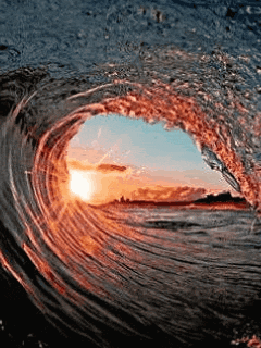 Ocean GIFs - Get the best GIF on GIPHY