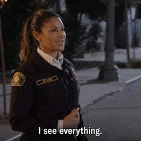 Station 19 Boss GIF by ABC Network