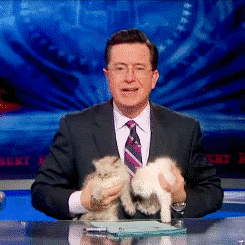 Kussen Stephen Colbert GIF