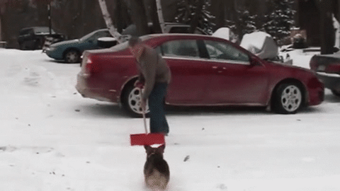 again GIF