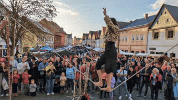 Kolinskaspolecnostpopravu GIF by Poprávu