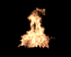 giphy.gif