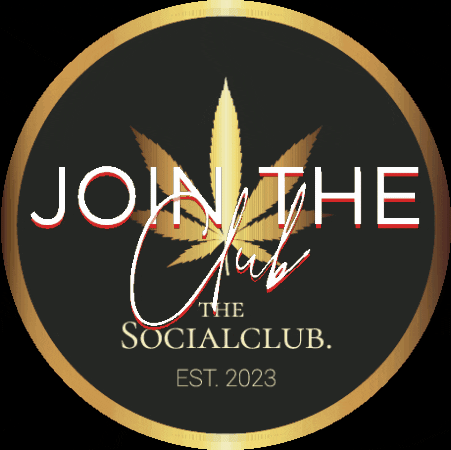 GIF by Thesocialclub