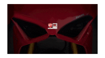 Doc Ducati Sticker by multistradaturkiye