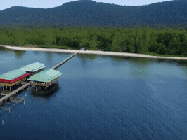 Vivuphuquoc GIF