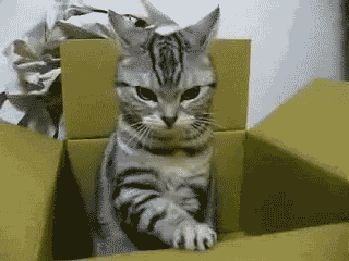 GIF gi-upload ni Amanda