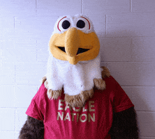 Encouragement Thumbs Up GIF by Bridgewater College